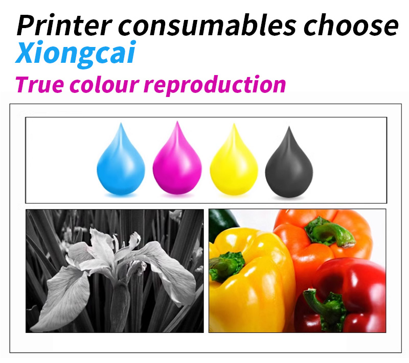 خرطوشة أكياس حبر مع طابعة نافث - مراجعة Solvent Printer Ink وسعره